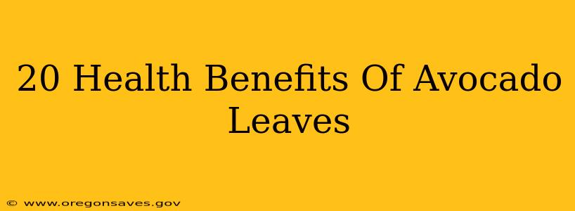 20 Health Benefits Of Avocado Leaves