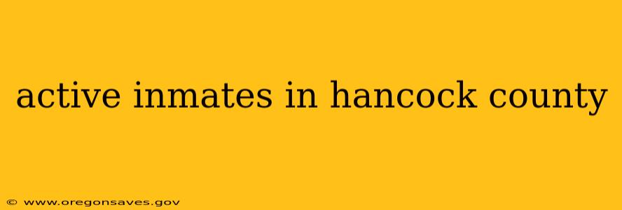 active inmates in hancock county