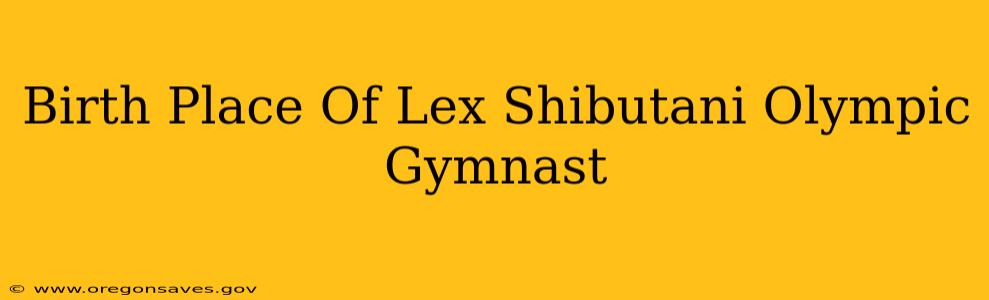 Birth Place Of Lex Shibutani Olympic Gymnast