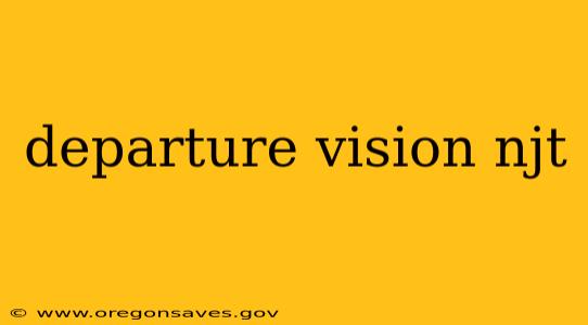 departure vision njt