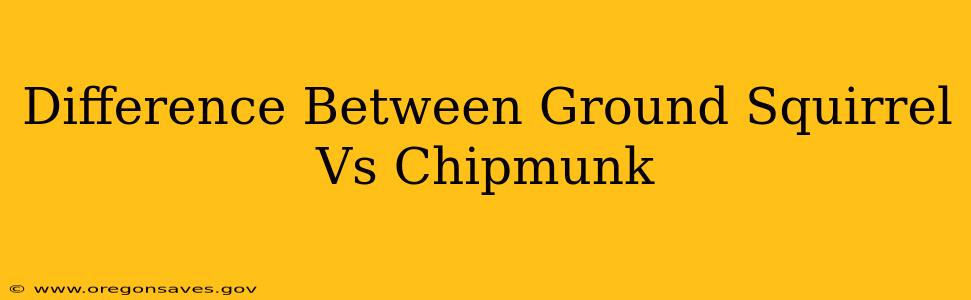 Difference Between Ground Squirrel Vs Chipmunk