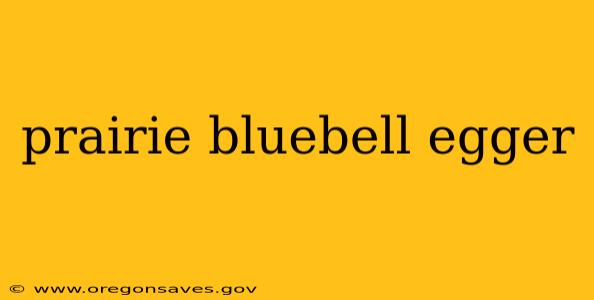 prairie bluebell egger