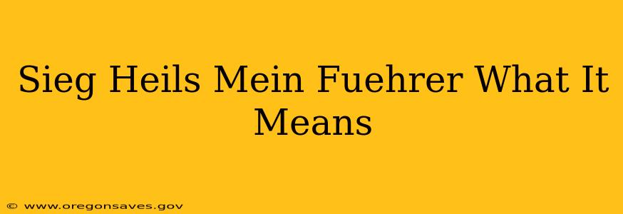 Sieg Heils Mein Fuehrer What It Means