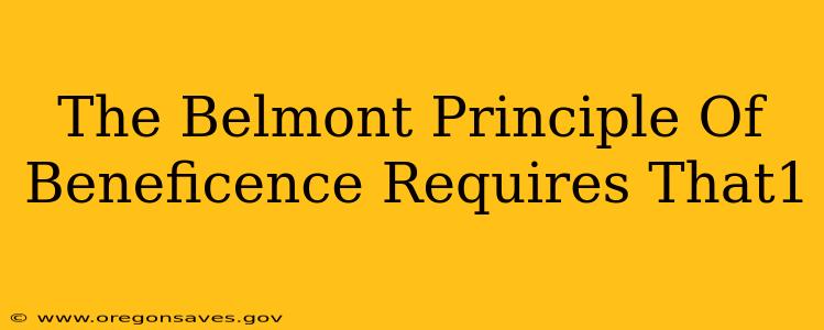 The Belmont Principle Of Beneficence Requires That1