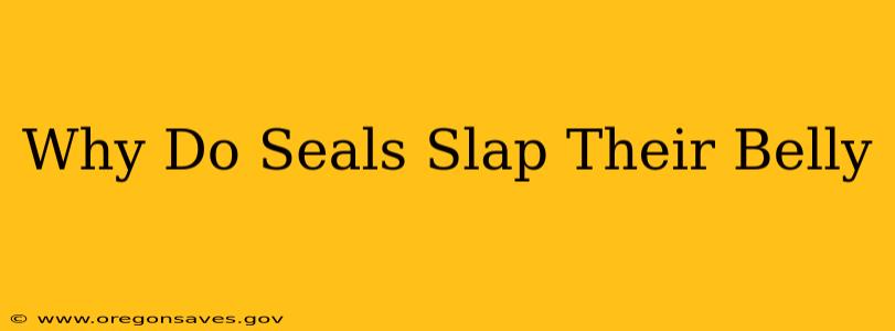 Why Do Seals Slap Their Belly