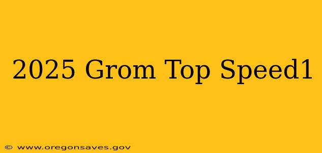 2025 Grom Top Speed1