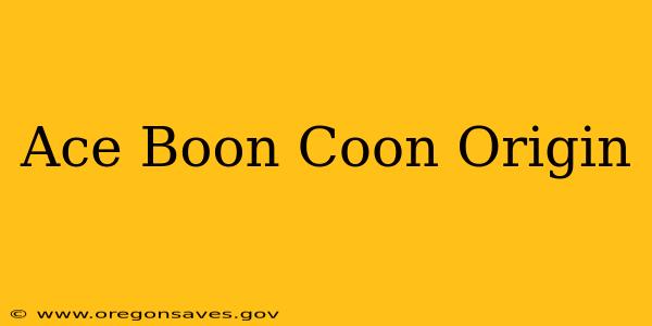 Ace Boon Coon Origin