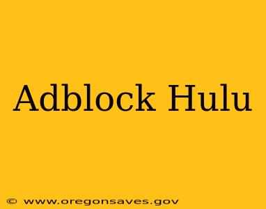 Adblock Hulu