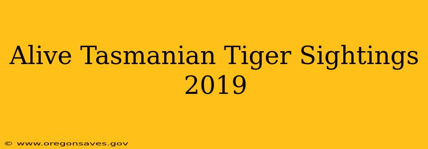 Alive Tasmanian Tiger Sightings 2019