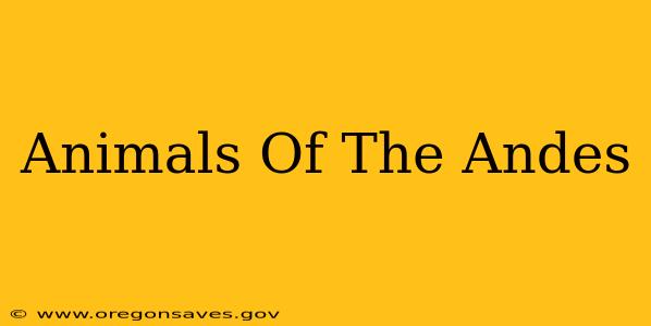 Animals Of The Andes