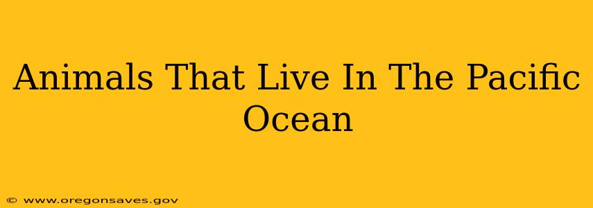 Animals That Live In The Pacific Ocean