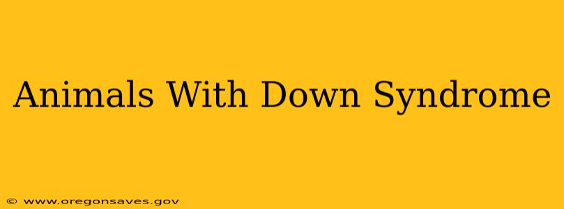 Animals With Down Syndrome