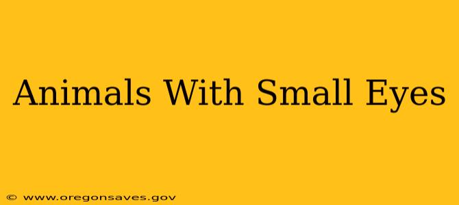Animals With Small Eyes