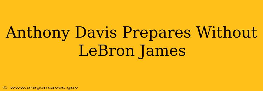 Anthony Davis Prepares Without LeBron James