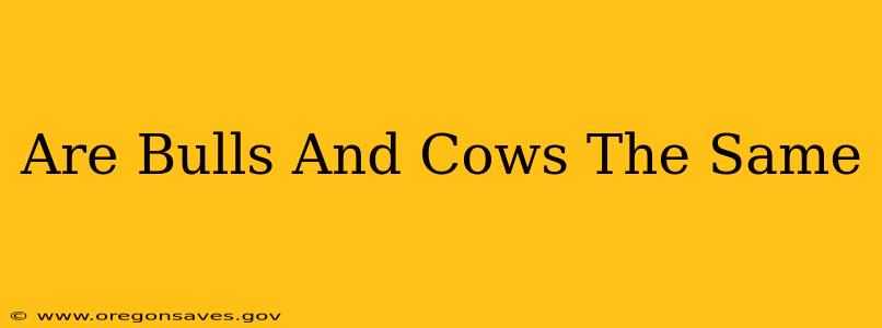 Are Bulls And Cows The Same