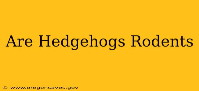 Are Hedgehogs Rodents
