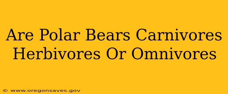 Are Polar Bears Carnivores Herbivores Or Omnivores