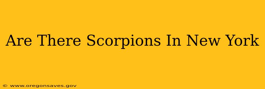 Are There Scorpions In New York