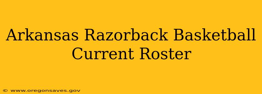 Arkansas Razorback Basketball Current Roster