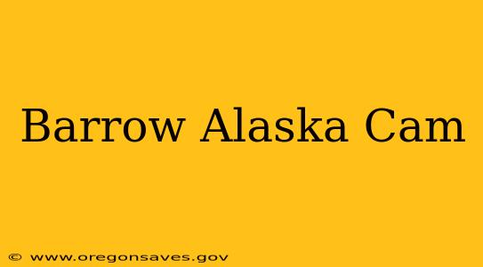 Barrow Alaska Cam