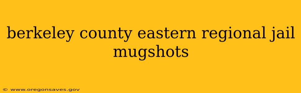 berkeley county eastern regional jail mugshots