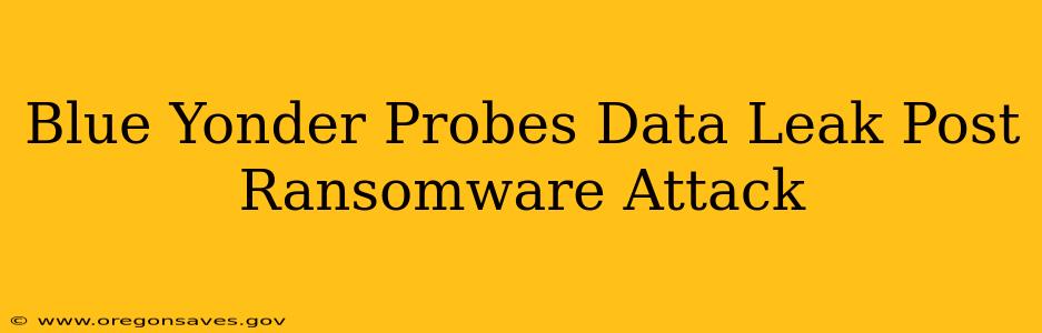 Blue Yonder Probes Data Leak Post Ransomware Attack
