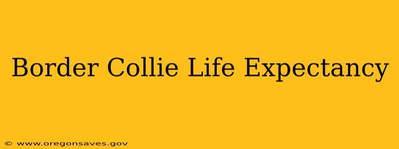 Border Collie Life Expectancy