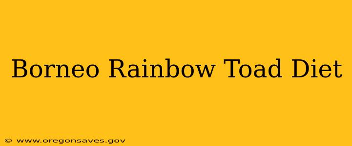 Borneo Rainbow Toad Diet