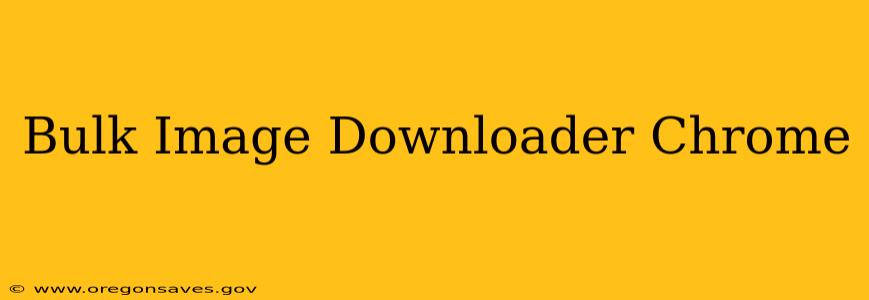Bulk Image Downloader Chrome