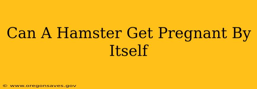Can A Hamster Get Pregnant By Itself