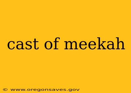 cast of meekah