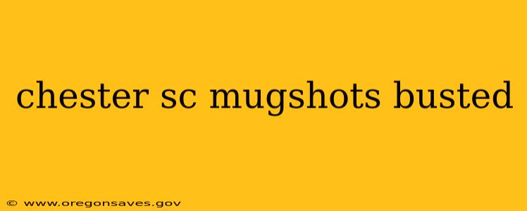 chester sc mugshots busted