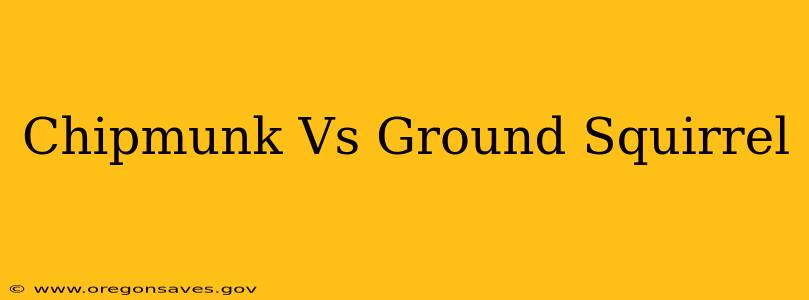 Chipmunk Vs Ground Squirrel