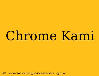 Chrome Kami