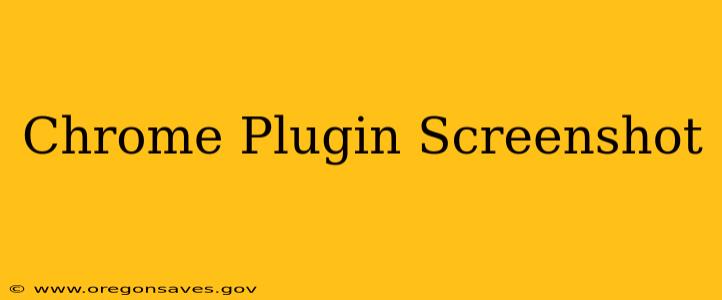 Chrome Plugin Screenshot