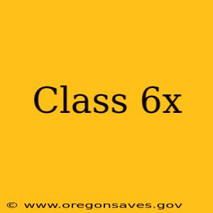 Class 6x