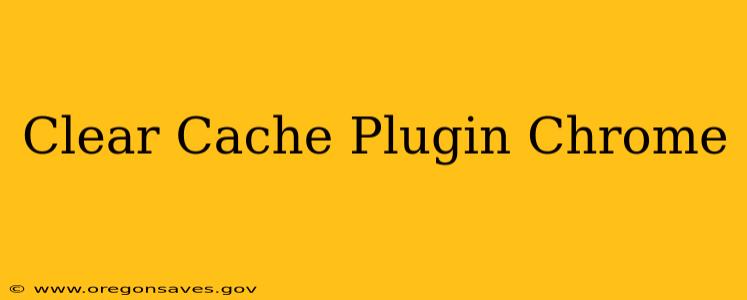 Clear Cache Plugin Chrome