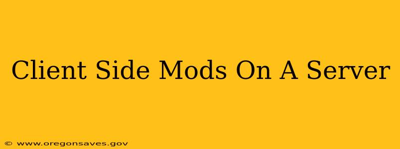 Client Side Mods On A Server
