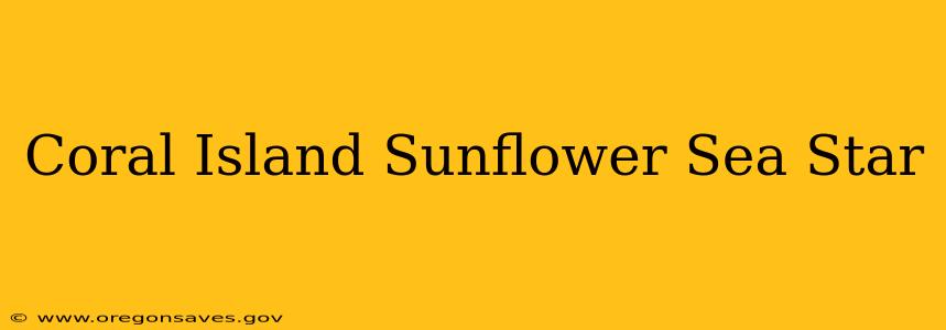 Coral Island Sunflower Sea Star