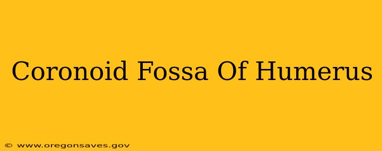 Coronoid Fossa Of Humerus