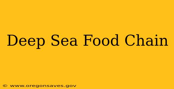 Deep Sea Food Chain