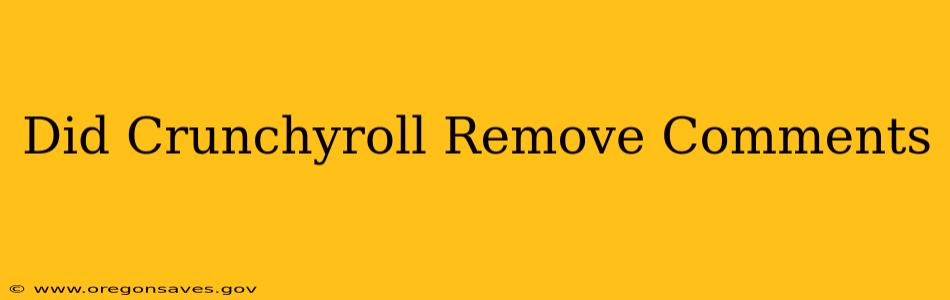 Did Crunchyroll Remove Comments