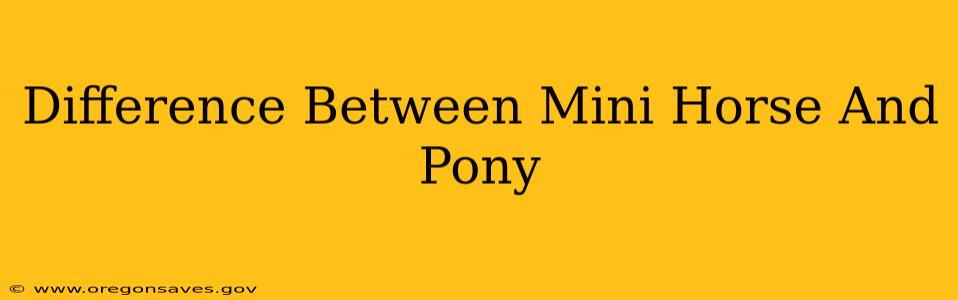 Difference Between Mini Horse And Pony