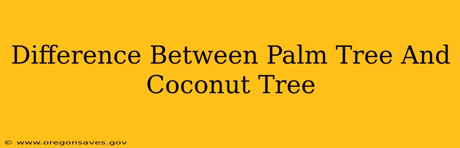 Difference Between Palm Tree And Coconut Tree