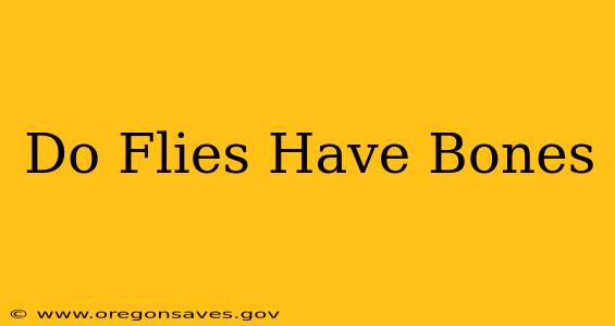 Do Flies Have Bones