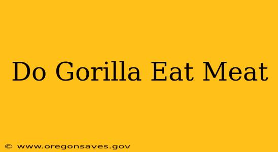 Do Gorilla Eat Meat