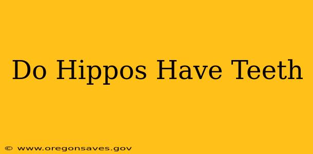 Do Hippos Have Teeth