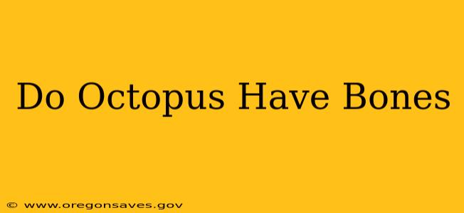 Do Octopus Have Bones