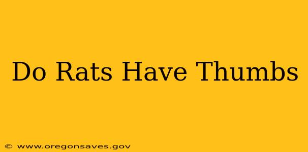 Do Rats Have Thumbs