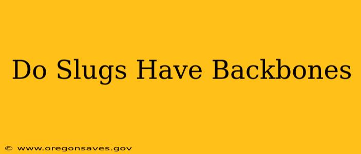Do Slugs Have Backbones